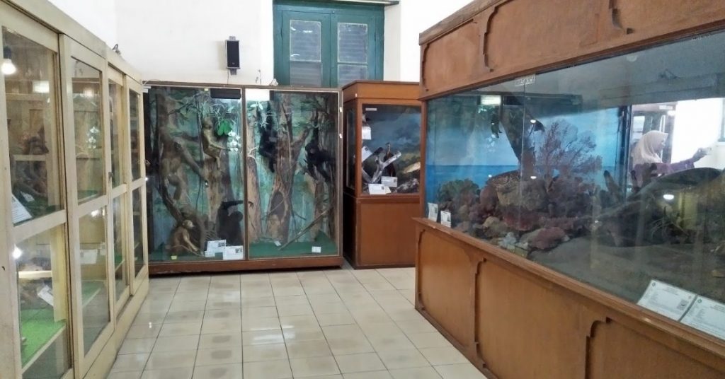 Museum Biologi Fakultas Biologi UGM