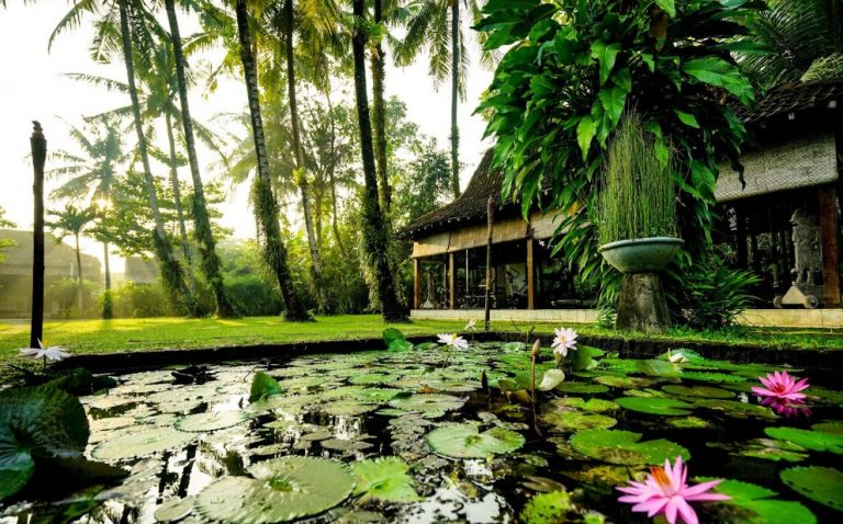 D’Omah Hotel