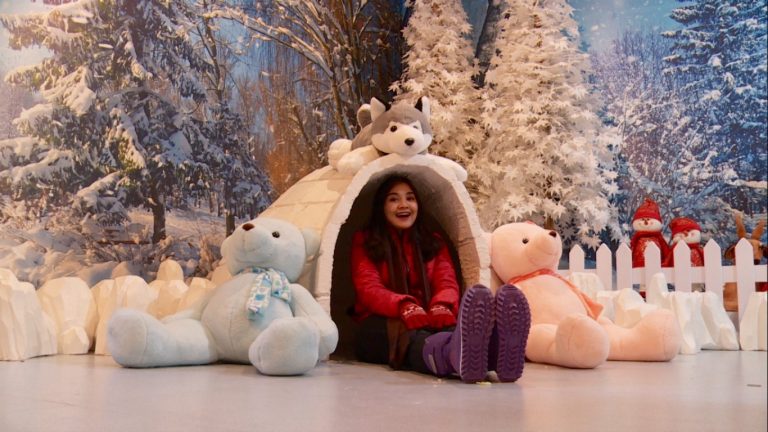 Teddy Bear World Jogja