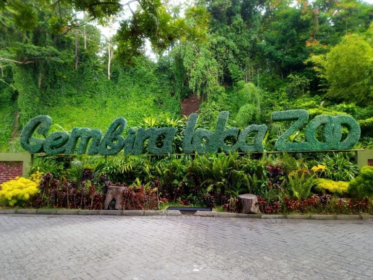 Kebun Binatang (Bonbin) Gembira Loka Jogja, Tak Sekadar Tempat Liburan Semata