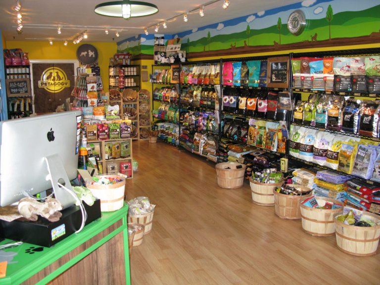 4 Rekomendasi Petshop Terlengkap di Jogja, Penuhi Kebutuhan Hewan Kesayanganmu