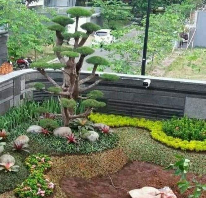 Jasa Taman Jogja – Qila Garden