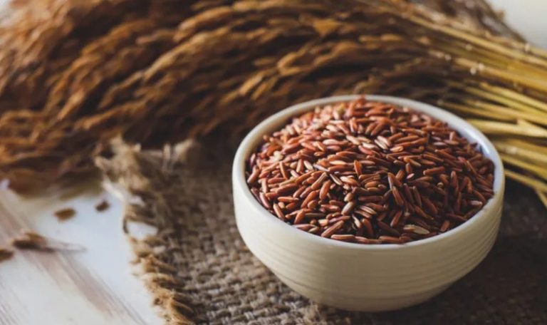 Rekomendasi Jual Beras Merah Organik di Jogja, Untuk Diet Sehat yang Kaya Manfaat