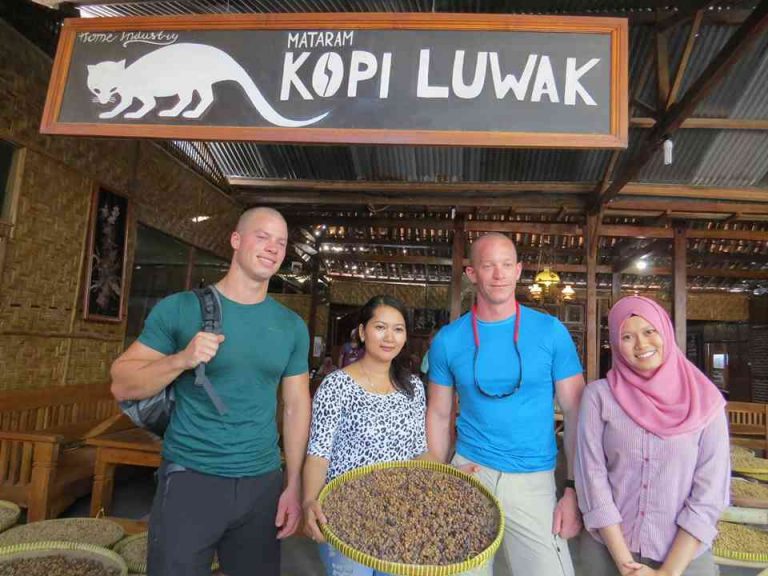 Oleh Oleh Kopi Khas Jogja Kopi Luwak Mataram Kotagede Indonesia