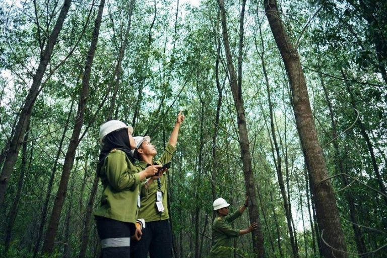 Rekomendasi Kampus Jurusan Kehutanan Terbaik di Jogja