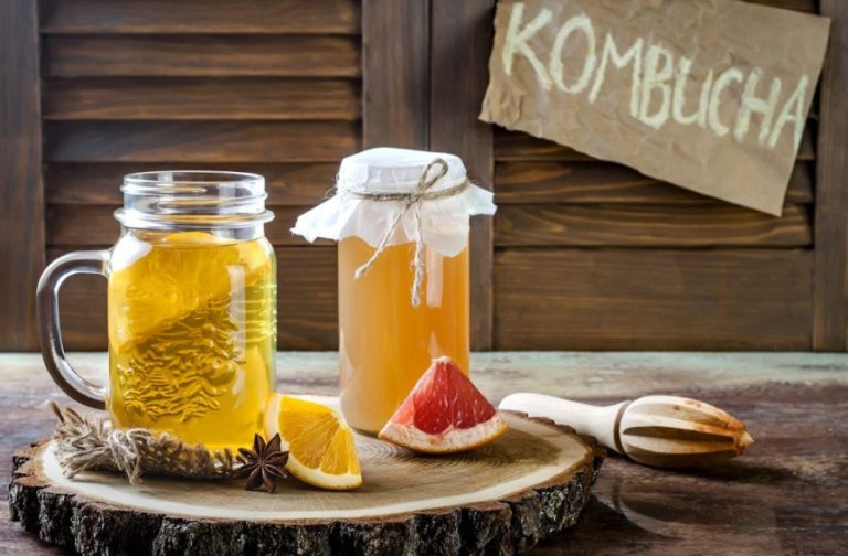 Rekomendasi Tempat Jual Teh Kombucha di Jogja