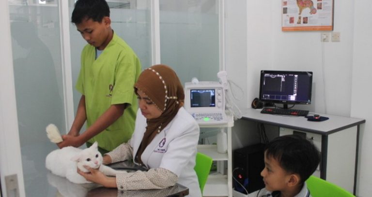 Rekomendasi Dokter Hewan di Jogja