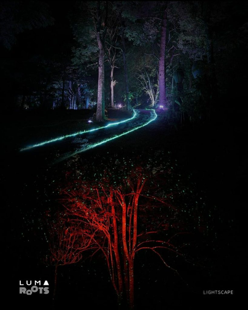 Luma Roots Lightscape
