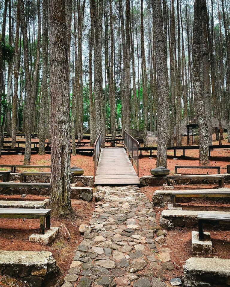 Rekomendasi tempat healing yang romantis di Jogja, hutan pinus Mangunan. Foto: instagram @hutanpinusmangunan