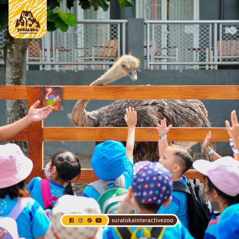 Suraloka Zoo, Rekomendasi Wisata Alam yang Ramah Anak di Kaki Gunung Merapi: Simak Harga Tiket dan Jam Buka