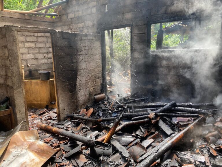Ditinggal ke Sawah, Rumah Lansia di Kulon Progo Mendadak Terbakar