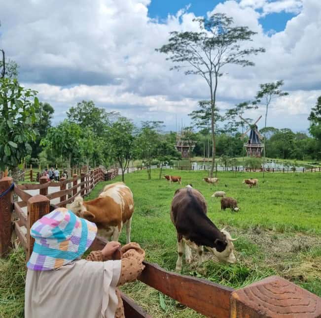 The Lost World Farm Jogja, sumber blogger.googleusercontent.com
