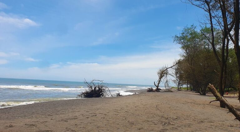 Menemukan Keindahan di Pantai Goa Cemara Jogja, Foto nagantour.com